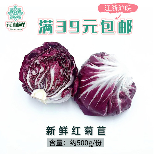 新鲜红菊苣球生菜 落地球红卷心生菜 红叶包菜 西餐沙拉蔬菜食材