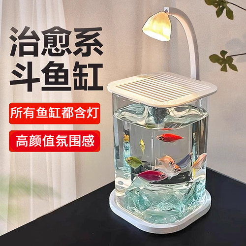 网红新款办公室玻璃生态斗鱼缸