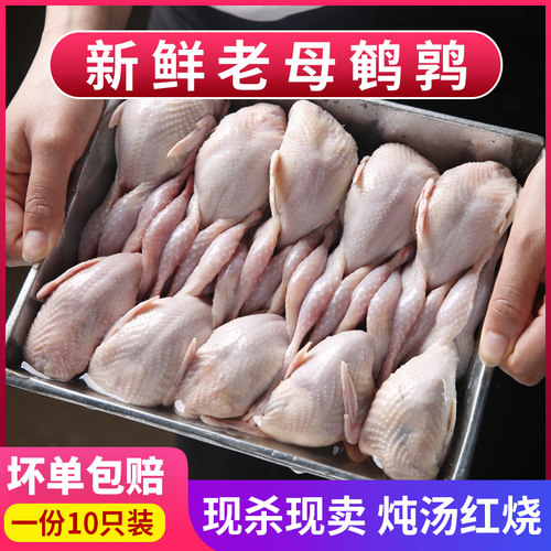 新鲜现杀熟食户外散养速冻鹌鹑肉