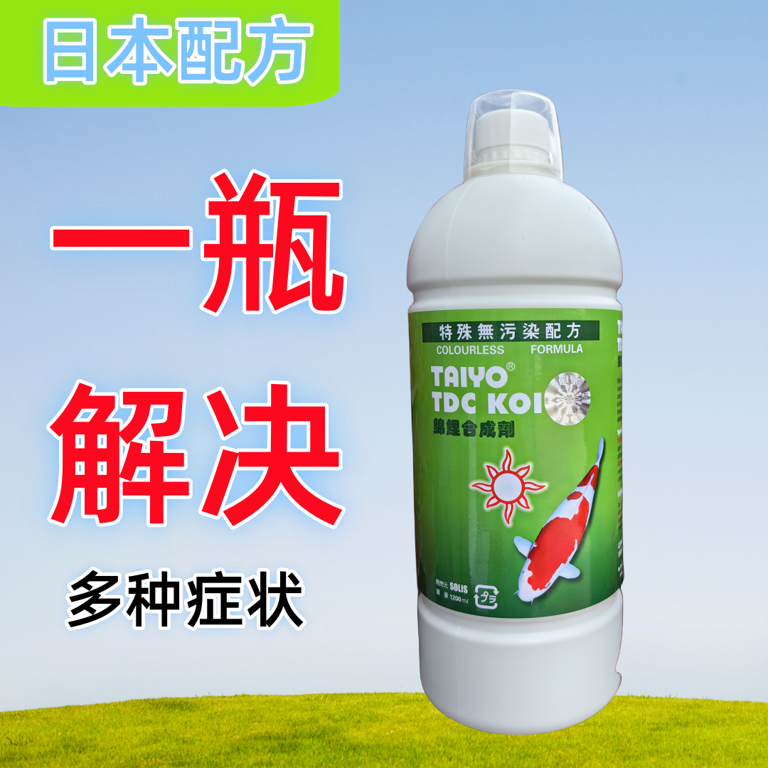 神阳TAIYO日本锦鲤四宝水质处理青子除藻剂乳酸菌硝化细菌速效TDC