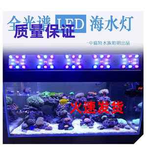 海水鱼缸灯具价格 海水鱼缸灯具图片 星期三
