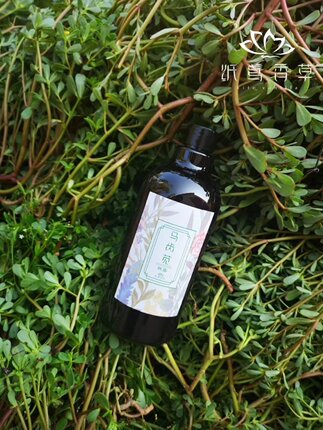 纸鸢香草  500ml马齿苋纯露 保湿 补水