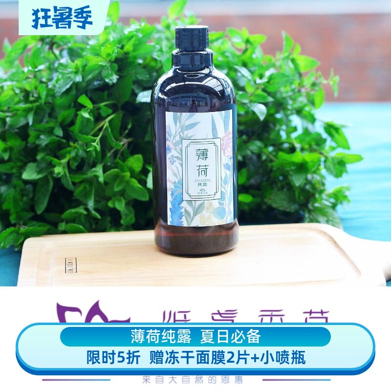 纸鸢香草 植物薄荷纯露500ml喷雾天然 清凉保湿薄荷原装