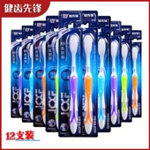 健齿先锋软毛牙刷12支成人男女通用细密大刷头牙齿清洁护龈独立装