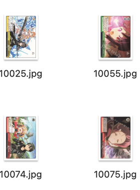 WS 黑白双翼 刀剑神域十周年动画 CX合集