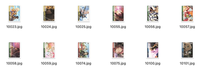 黑白双翼WS武士道BUSHIROAD