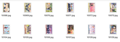 武士道ws黑白双翼ll星团