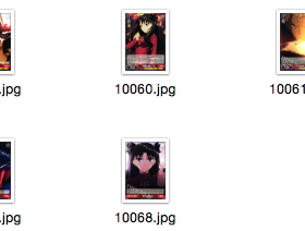 WS 黑白双翼 卡牌 fate/stay night UBW2 红色U卡