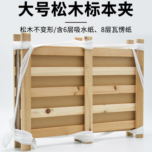 植物标本夹吸水压花板松木不变形