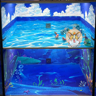 宝可梦宠物小精灵口袋妖怪水系模型手办盒贴纸场景布景展柜背景图