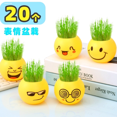 草头娃娃开花浇水头上长草迷你小盆栽绿植微景观桌面摆件植物儿童