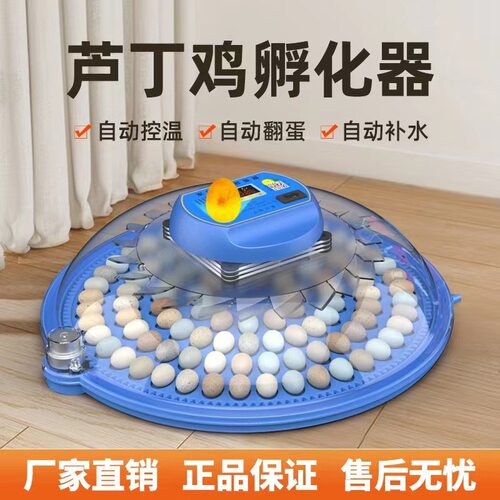 a8孵化器全自动孵蛋器家用小鸡孵化器玄风芦丁鸡孵化箱8小飞碟
