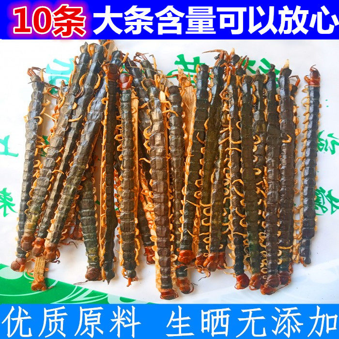 10条国产红头16公分左右中药材