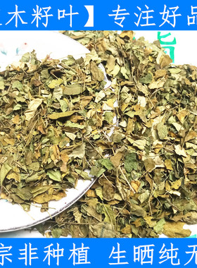 原料辣木叶500g辣木干叶片 养生辣木籽叶 新鲜干货 辣木子叶 一斤