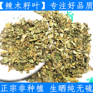 原料辣木叶500g辣木干叶片 养生辣木籽叶 新鲜干货 辣木子叶 一斤