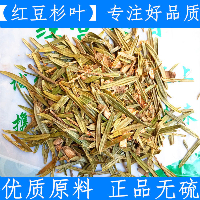 原料中药材 干货红豆杉叶 红豆杉树叶500克店有红豆杉根皮