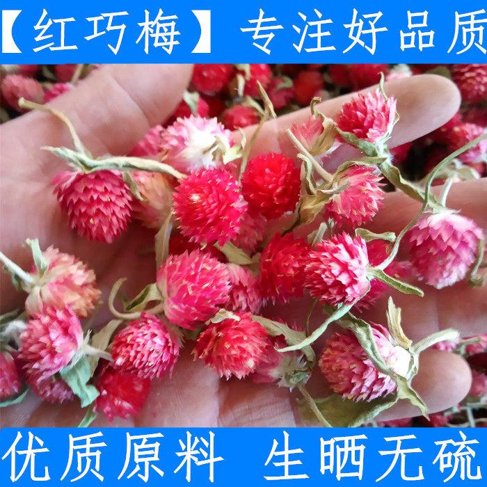 原料特级新鲜红巧梅