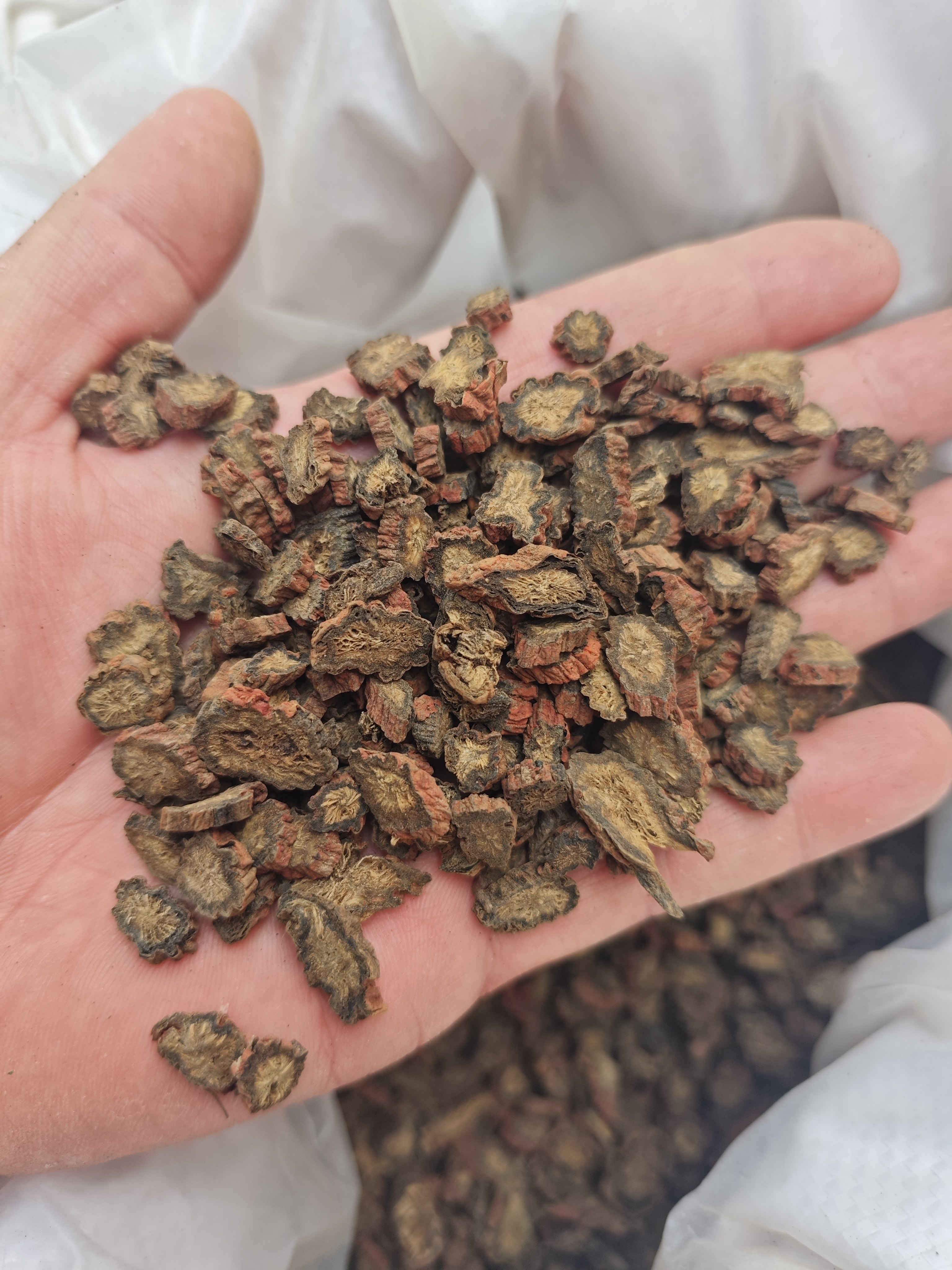 特级丹参500g 野丹参片优质正品紫丹参 中药材单参新鲜干货