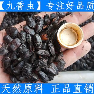 九香虫中药材店铺500克干货打屁虫黑兜虫 蜣螂虫屁巴虫中草药齐全