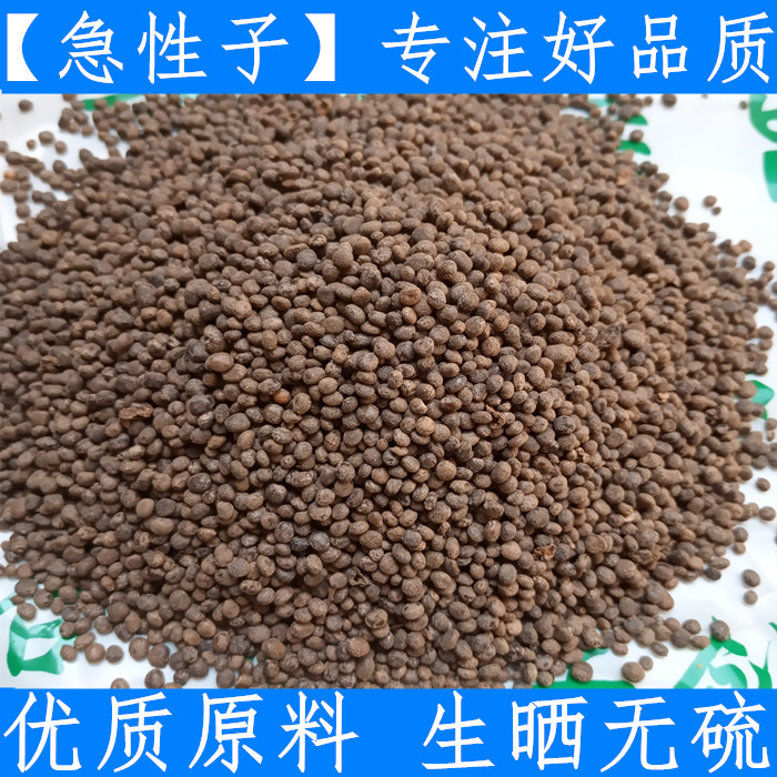 灯盏花新鲜中药材