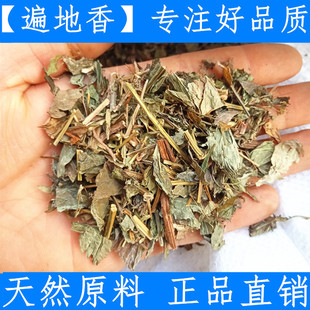原料中药材连钱草 遍地香 落地金钱 肺风草 透骨消 500克18元包邮