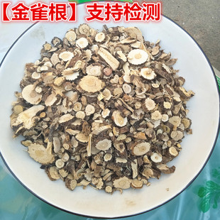 金雀根 中药材锦鸡儿 土黄芪 纯根一斤纯根 新鲜干货另有金雀花