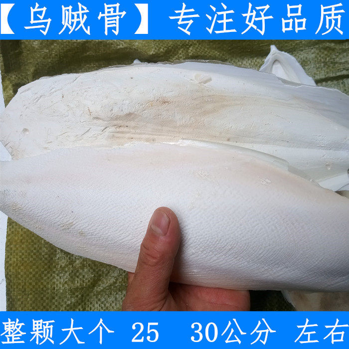 海螵蛸墨鱼骨新鲜原料无硫中药材