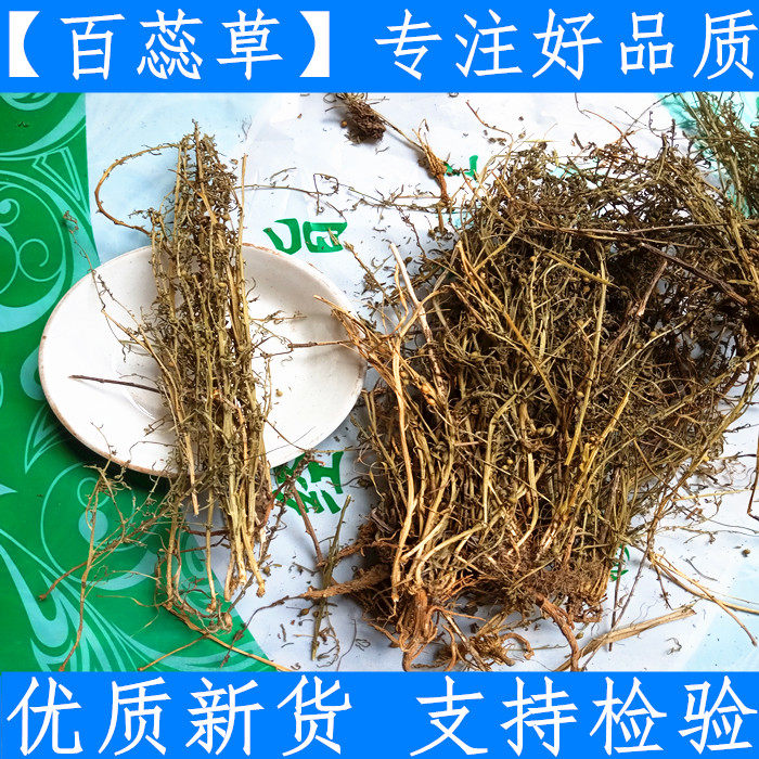 百蕊草 中药材 百蕊草 百乳草 小草 细须草 青龙草 500克新鲜干货