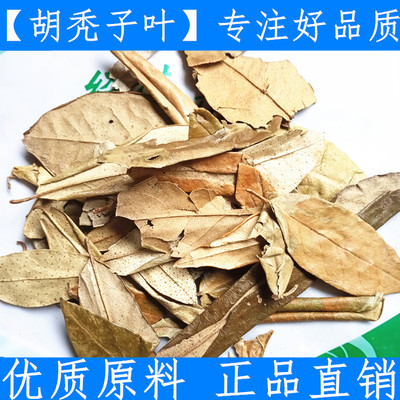 中药材 胡秃子叶 蒲颓叶 胡颓子叶 胡颓叶 优质正品500克新鲜干货