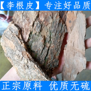 李根皮 中药材 正品李根皮 正宗李根白皮 甘李根白皮 500克包邮
