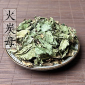 中草药材火炭藤 火炭星 白饭草白饭藤 2斤 火炭母500g 包邮 翅地利
