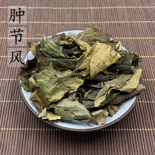 【100克】 肿节风 九节茶九节风接骨莲中药材供应 草珊瑚 2件包邮