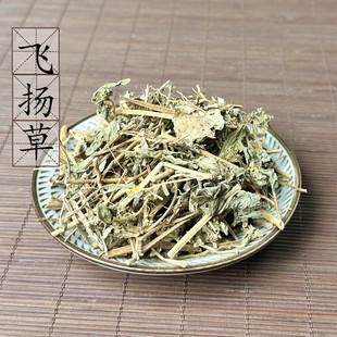 大飞扬草500克 大乳汁草 广西野生节节花 中草药材飞扬草 2件包邮