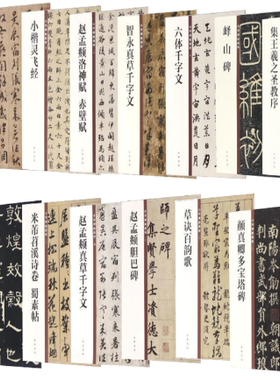 【正版包邮】中华碑帖精粹系列全套全集 共16册 赵孟頫小楷道德经+集王羲之圣教序+颜真卿多宝塔碑+草诀百韵歌等 中华书局