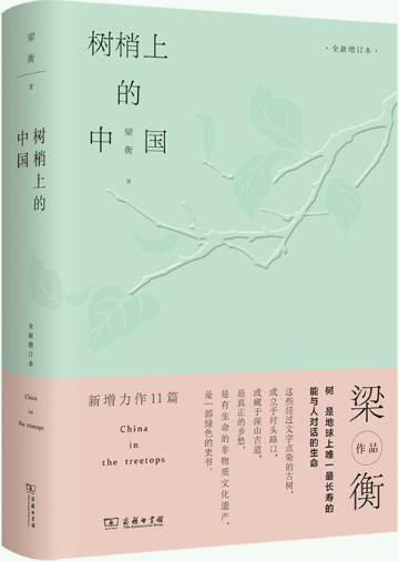 树梢上的中国全新增订本