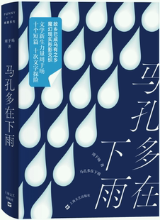 【正版包邮】马孔多在下雨  作者:周于旸  出版社:上海文艺出版社
