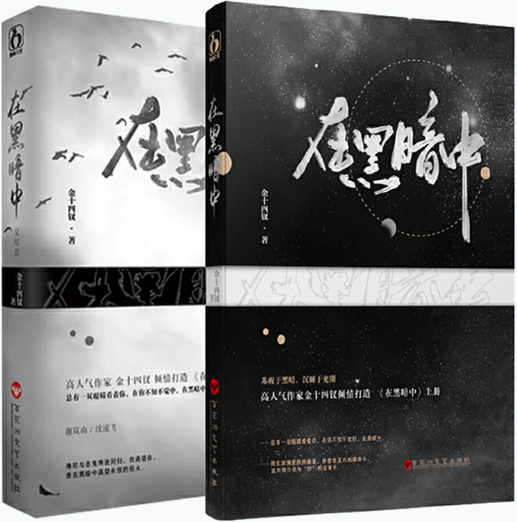 【正版包邮】在黑暗中 在黑暗中(完结篇)共2册  作者:金十四钗  破案