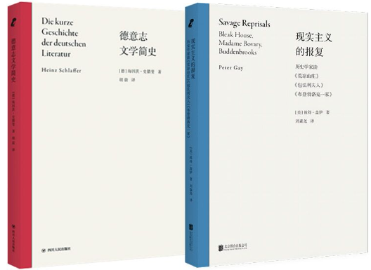 【正版包邮】“论文学”文学批评及导读（现实主义的报复、德意志文学简史）