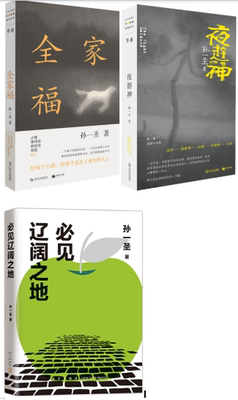 【正版】孙一圣 作品共3册：全家福+夜游神+必见辽阔之地 等