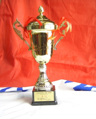 金属奖杯定做比赛台球羽毛球篮球足球奖杯高尔夫奖杯运动会奖杯