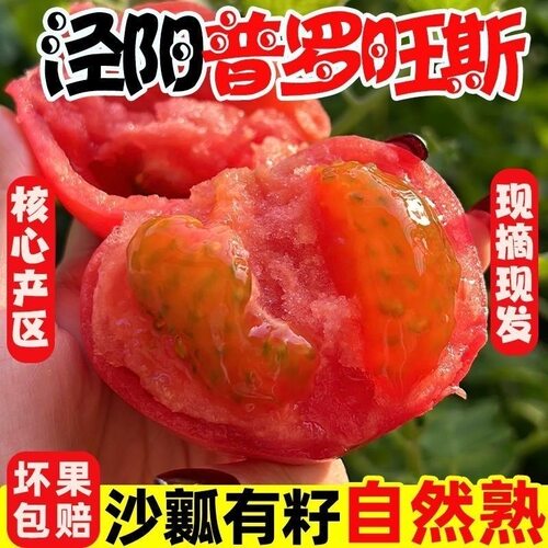 【顺丰】陕西泾阳普罗旺斯沙瓤西红柿新鲜自然熟水果生吃番茄蔬菜
