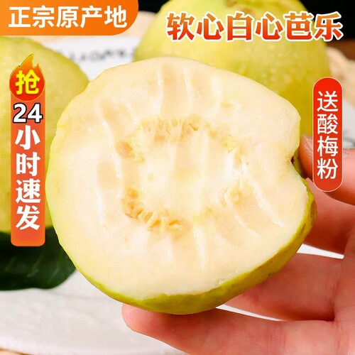 正宗台湾软心白心奶油芭乐番石榴福建漳州草莓低糖芭乐送酸梅粉