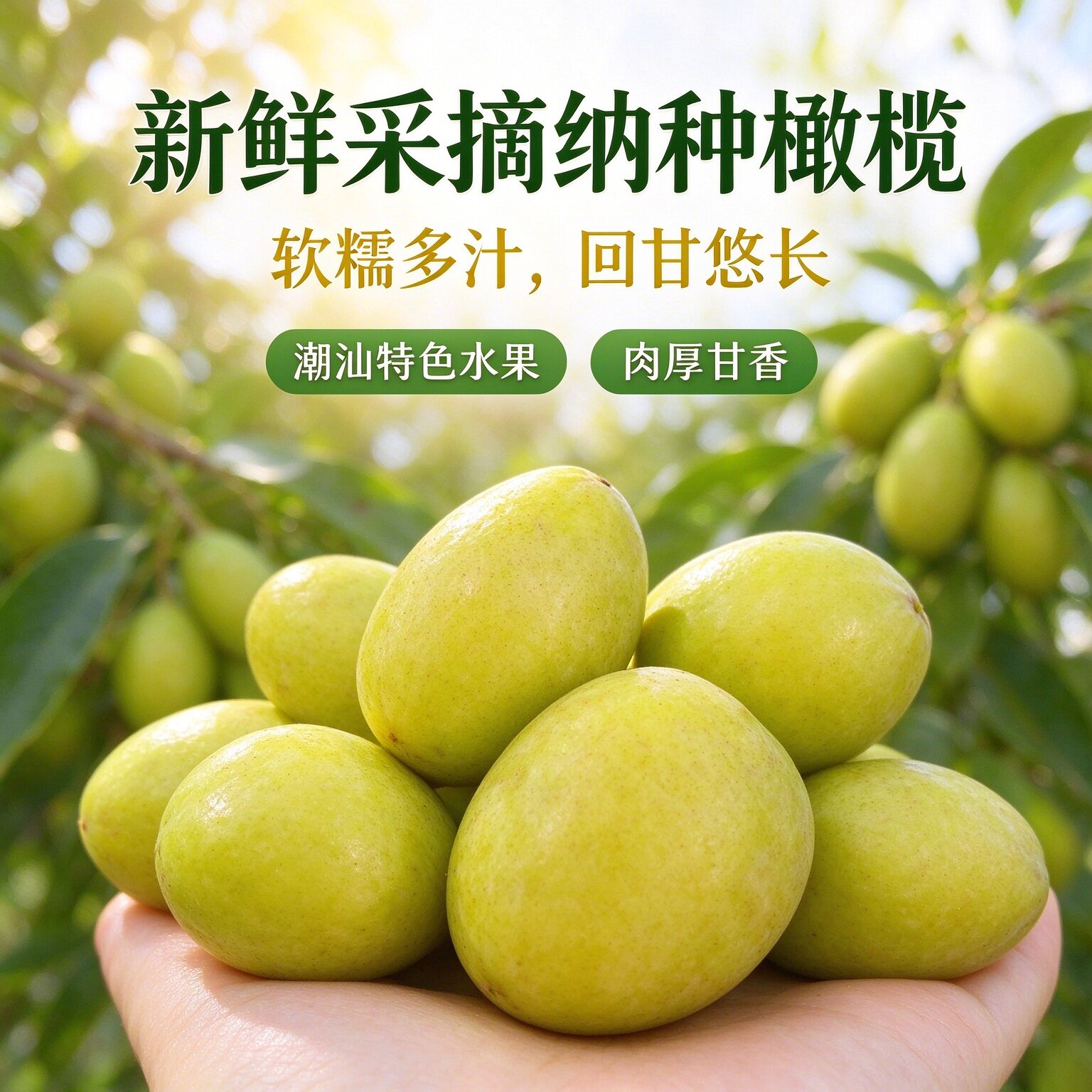 广东汕头特产新鲜纳种橄榄黄金色高档送礼橄榄果青果本地礼盒装