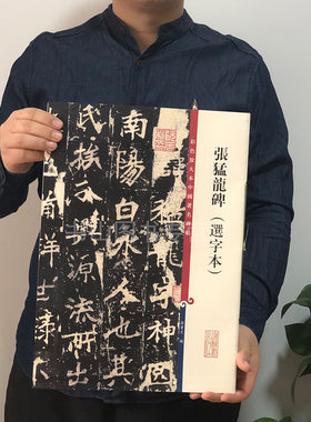 张猛龙碑选字本 彩色放大本中国碑帖 孙宝文繁体旁注 北魏楷书毛笔字帖书法爱好者成人学生临摹帖练古帖墨迹本鉴赏 上海辞书