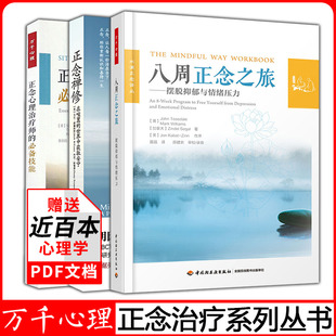 万千心理正念心理师的技能+八周正念之旅摆脱抑郁与情绪压力+正念修禅正念认知疗法减压情绪控制管理伯恩斯郁症