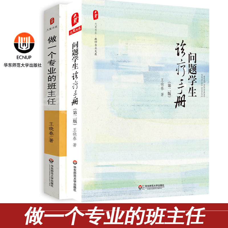 做一个专业的班主任+问题学生诊疗手册（版）教师用书大夏书系 教育理论基础知识综合中小学班主任培训用书专业成长的读本