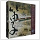 精装 正版 版 4CD 中国音乐大全 原装 中国唱片 笛子卷 上集