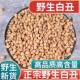 正品 野生白牵牛子白丑新货中药材500g官方旗舰店无硫天然晒干新货