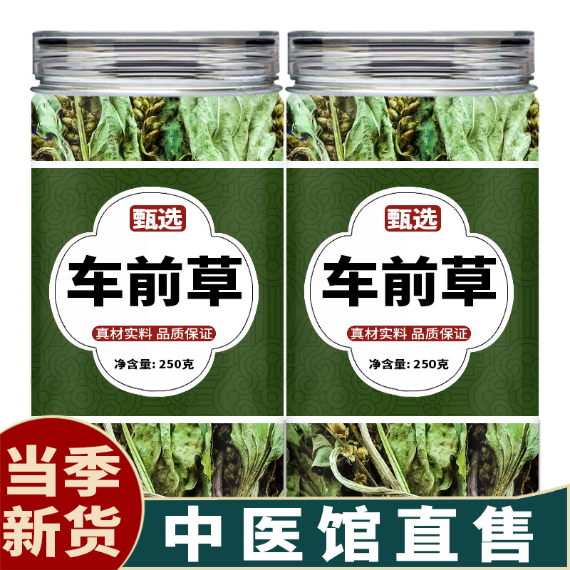 车前草中药饮片中药材店铺