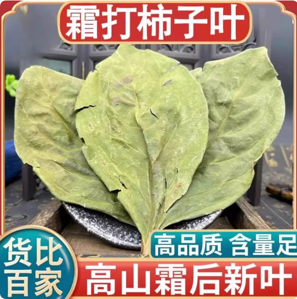柿子叶霜后新叶新鲜干货秋后市子叶泡茶泡水喝养生无渣中药材叶子,传统滋补营养品,药膳养生汤料,淘宝优惠券,粉丝福利购,淘宝优惠卷